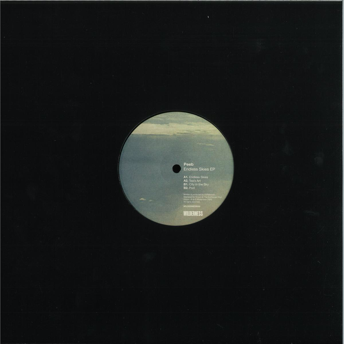 Peeb - Endless Skies EP (VINYL) | Mint (M) Mint (M)