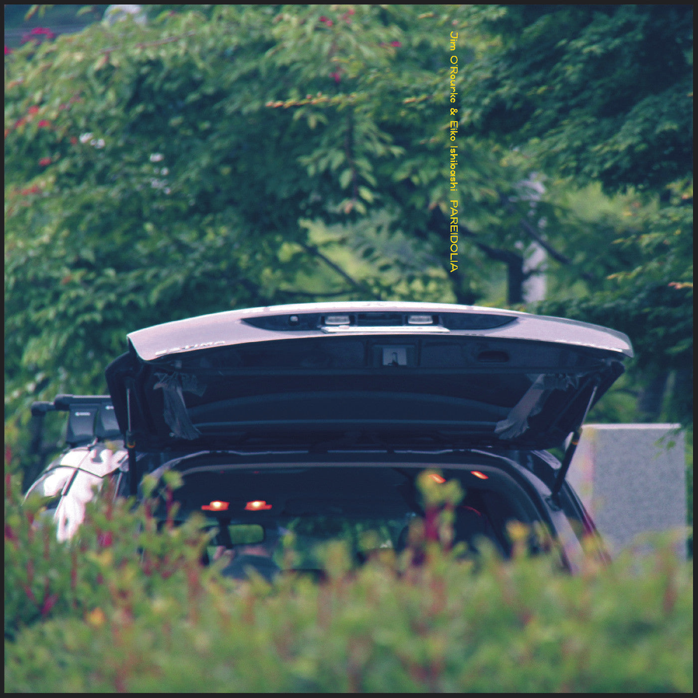 Pareidolia *PRE-ORDER 9/29/2*(VINYL) | Mint (M) Mint (M)