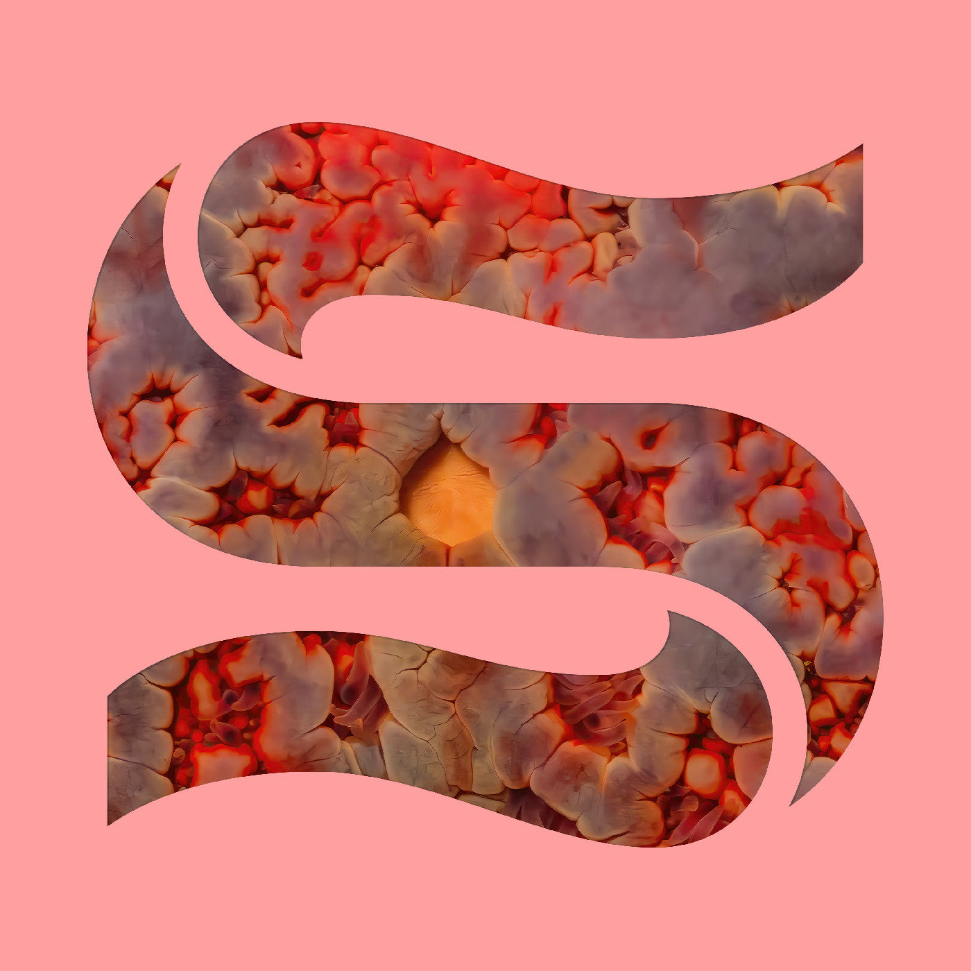 Smith, Kaitlyn Aurelia & Joe Goddard - Neptunes EP |