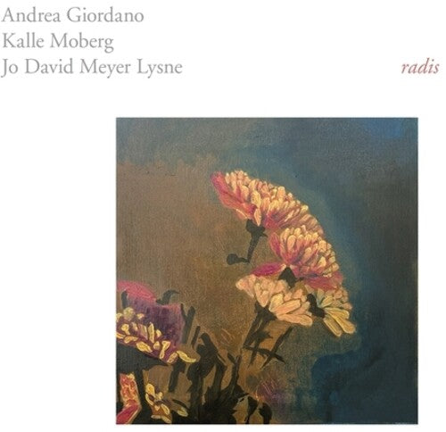 ANDREA GIORDANO / KALLE MOBERG - Radis (VINYL) | Mint (M) Mint (M)