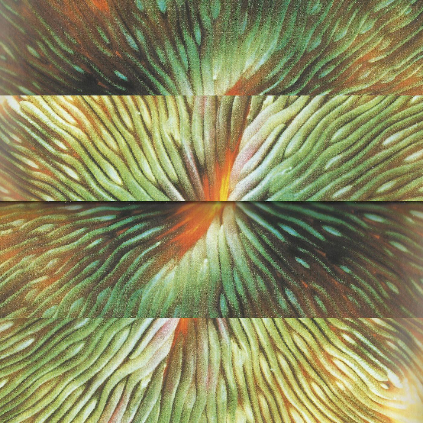 Active Surplus - Mirroring |
