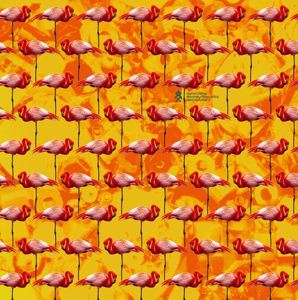 Dreamings & Offshore Drilling - Pearls And Turtles |