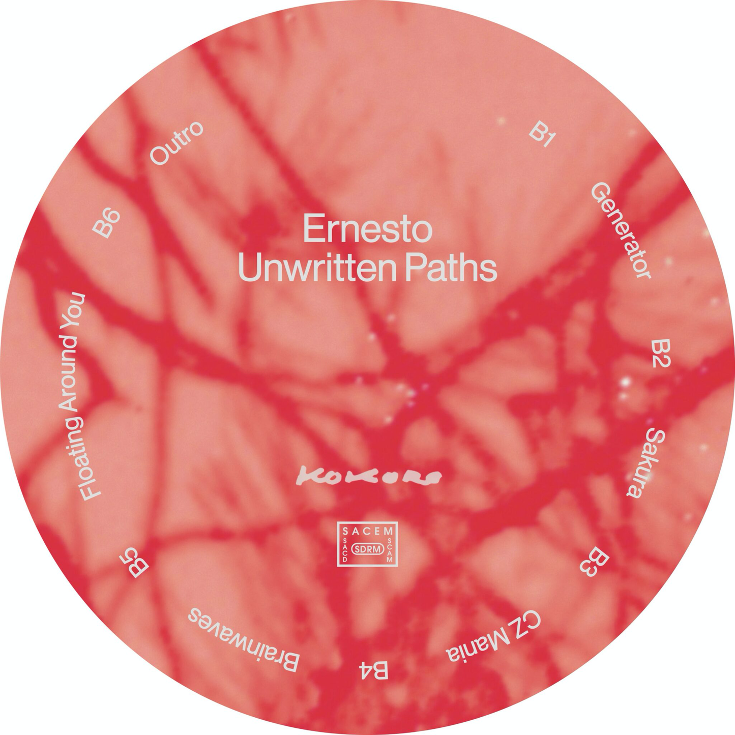 Ernesto - Unwritten Paths (VINYL) | Mint (M) Mint (M)
