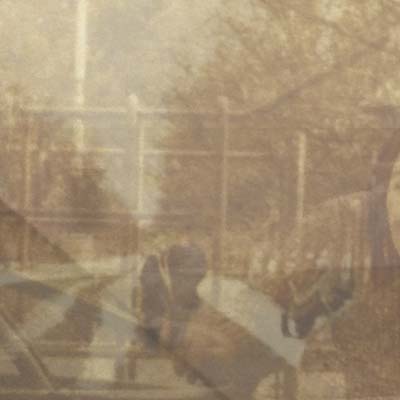 Folding In On Itself |