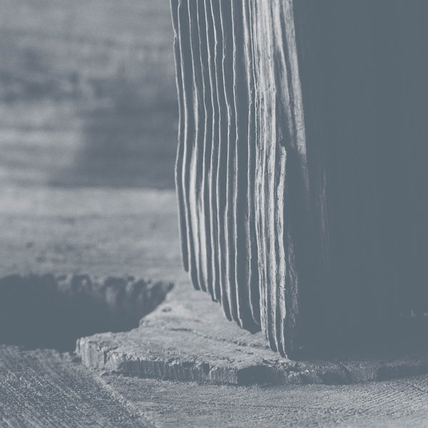 Nessun LegameCon La Polvere |