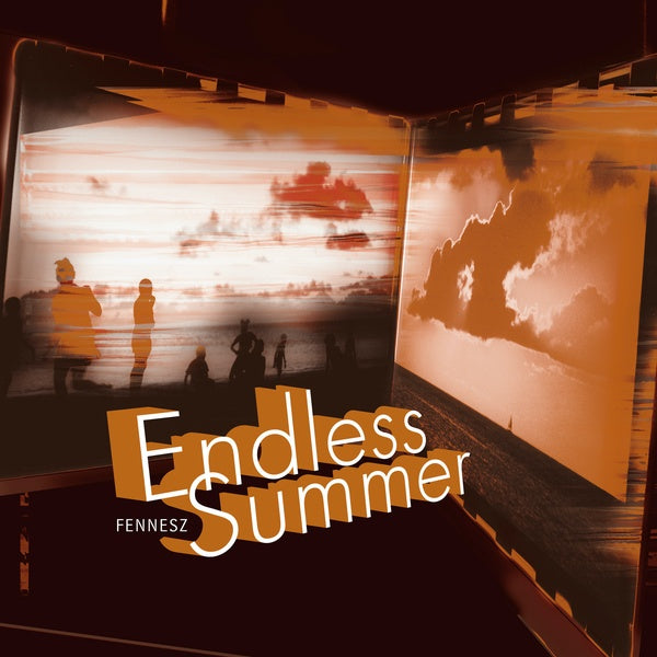 Endless Summer (VINYL) | Mint (M) Mint (M)