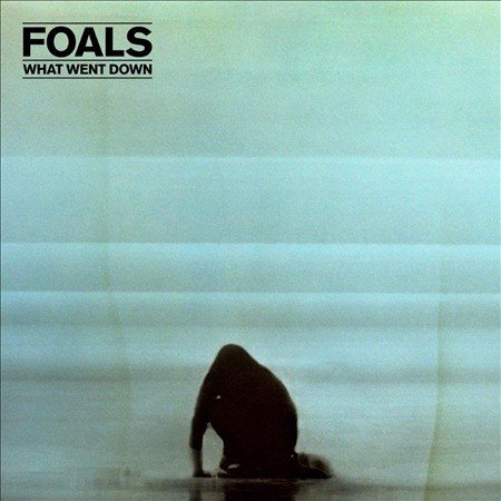 What Went Down (180 Gram Vinyl, Digital Download Card) |