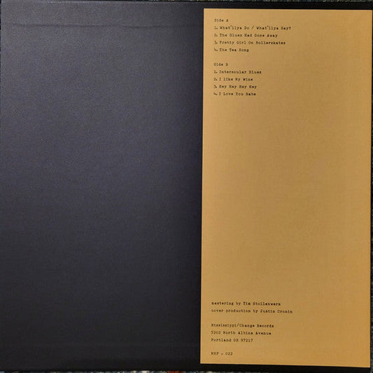 Back Home With Drifting Woods (VINYL) | Mint (M) Mint (M)