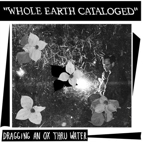 Dragging An Ox - (PRESALE 5/29/26) Whole Earth Catalogued (VINYL) | Mint (M) Mint (M)
