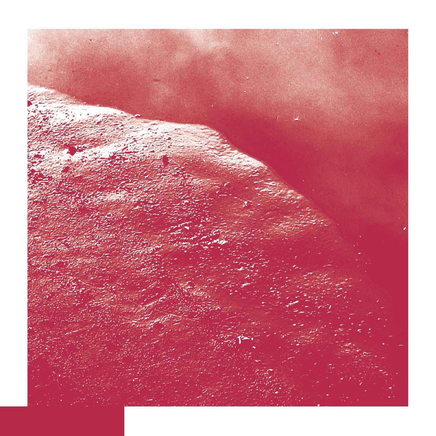 Allred, David - The Cell |