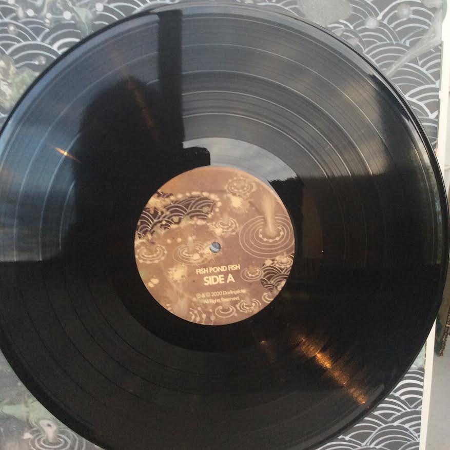 Darlingside - Fish Pond Fish (VINYL) | Near Mint (NM) Near Mint (NM)