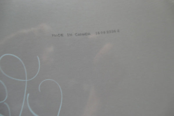 Mac Miller - The Divine Feminine (VINYL) | Mint (M) Mint (M)