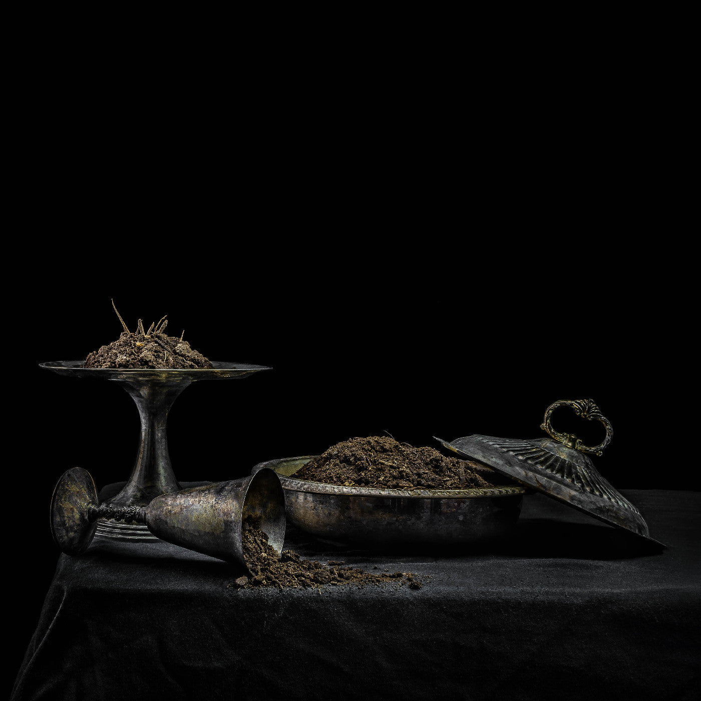 All We Have Is Never *PRE-ORDER 8/8/25*(Purple Vinyl) | Mint (M) Mint (M)