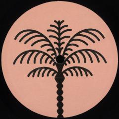 Chavi - Unreleased Data EP (VINYL) | Mint (M) Mint (M)