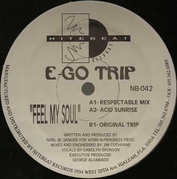 Feel My Soul (12" VINYL) | Excellent+ (EX+) Generic