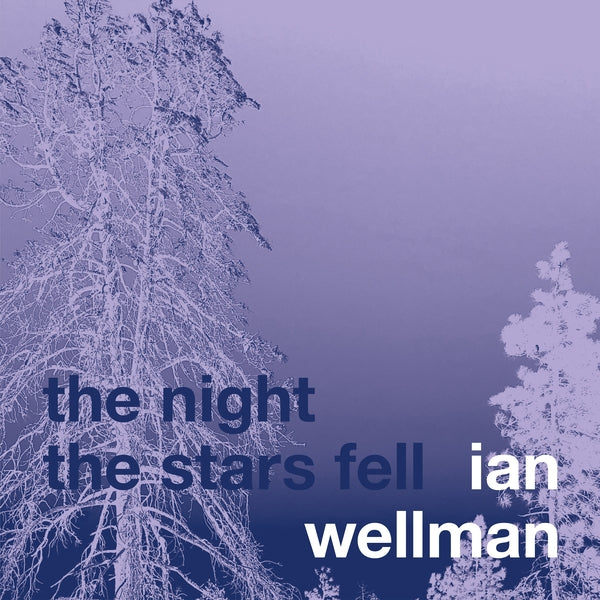 The Night The Stars Fell |