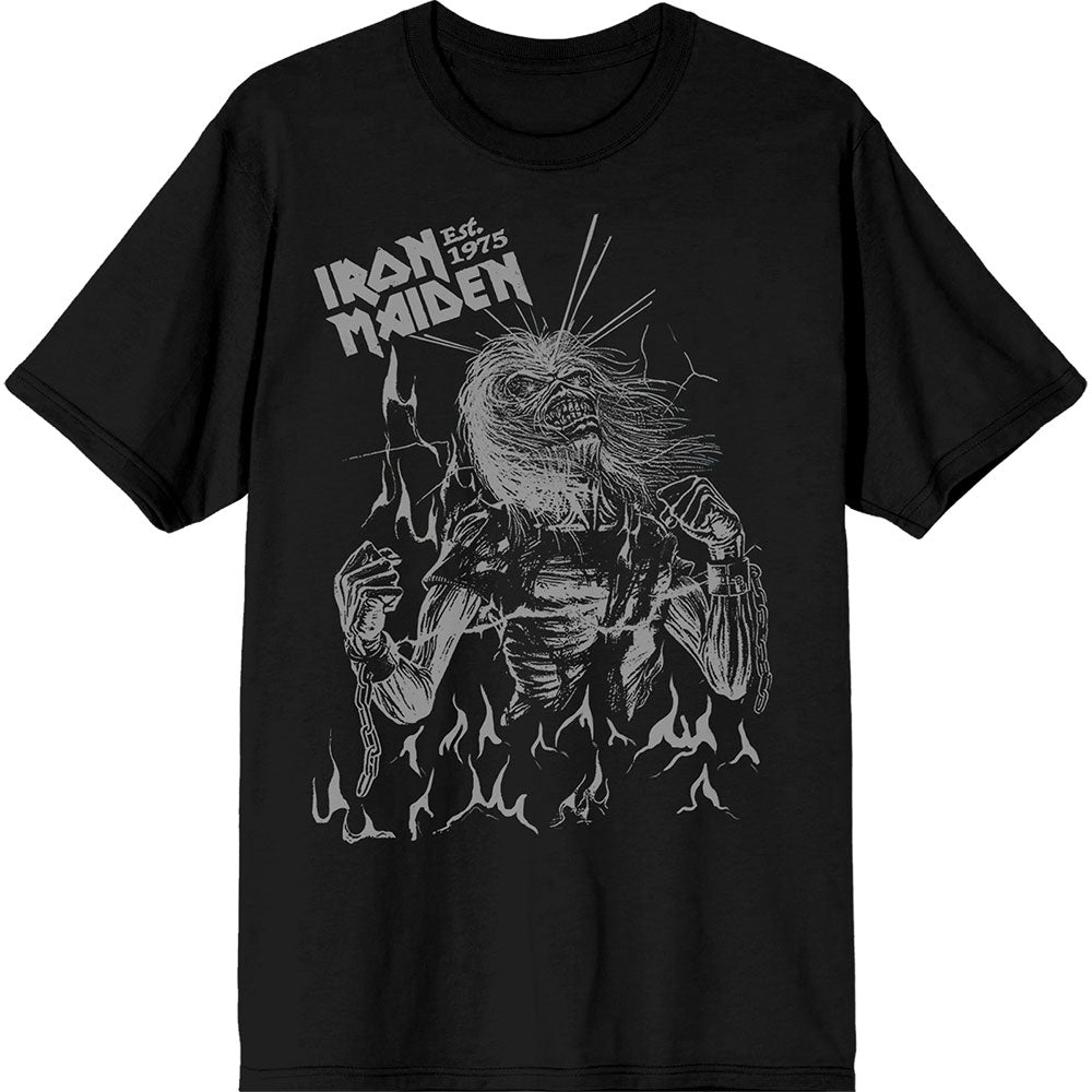 Iron Maiden - Est. 1975 Life After Death Flames |