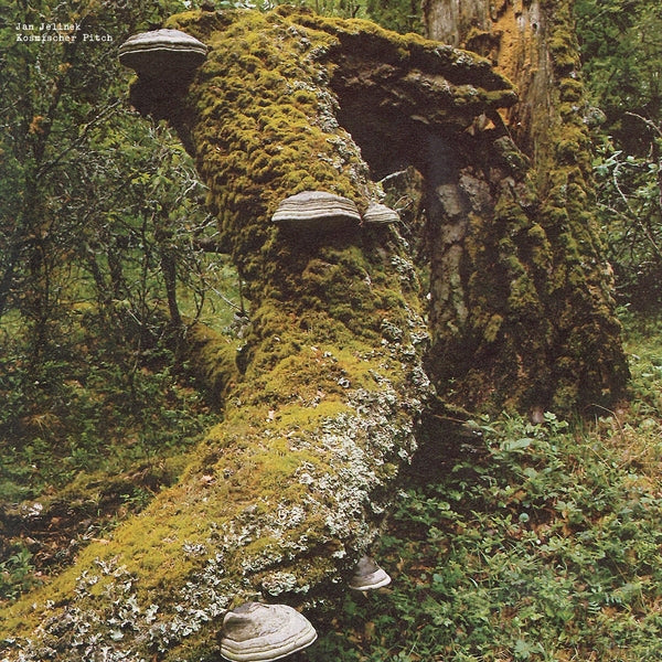 Kosmischer Pitch (VINYL) |