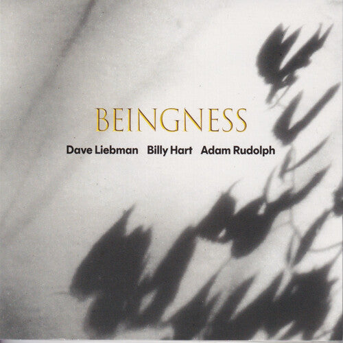 Dave Leibman - Beingness (WHITE VINYL) | Mint (M) Mint (M)