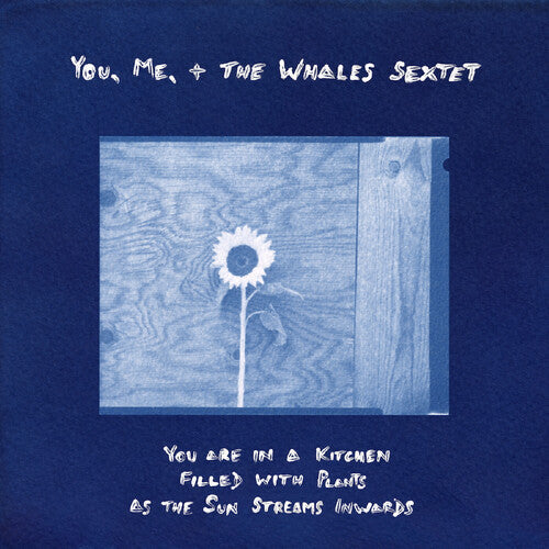 You, Me, + the Whales Sextet - (PRESALE 6/5/26) You are in a Kitchen Filled with Plants as the Sun... (VINYL) | Mint (M) Mint (M)