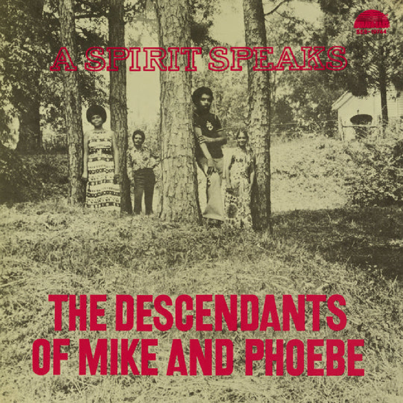 A Spirit Speaks (BF RSD 2025 / DELUXE EDITION VINYL) | Mint (M) Mint (M)
