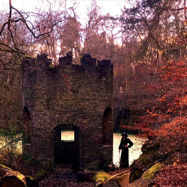 Out Of The First Rays |