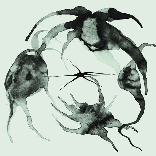 A Rift In the Horizon's Wall |