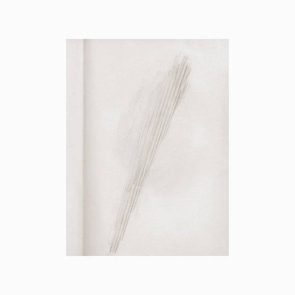 A Mirror Holds The Sky |