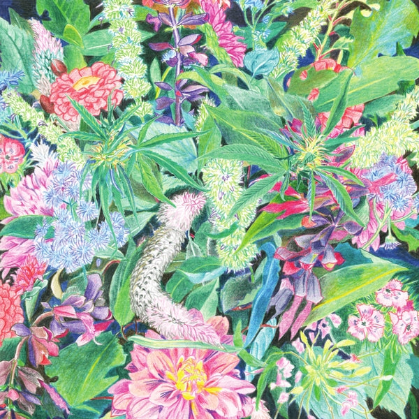 The Rising Wave | Mint (M) Mint (M)