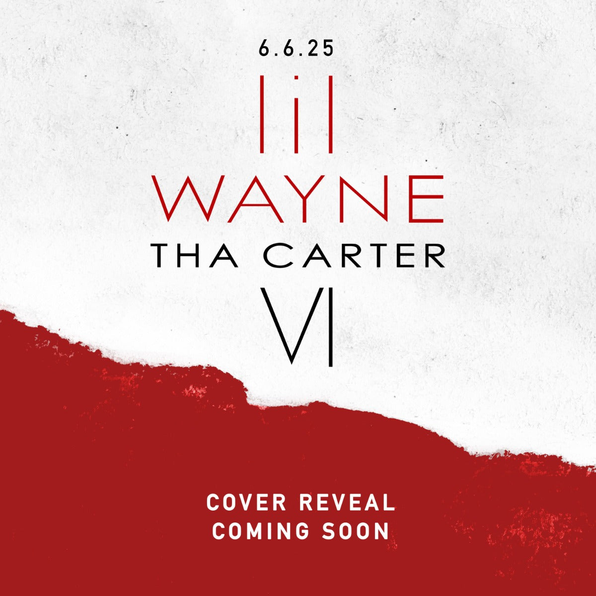 Tha Carter Vi |