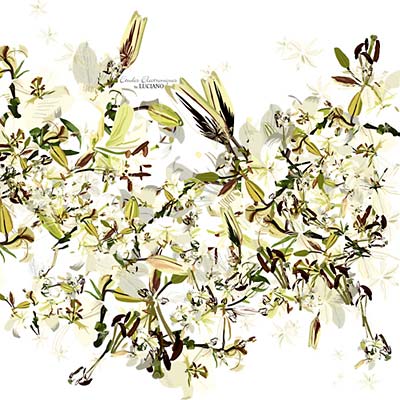 Études Électroniques |