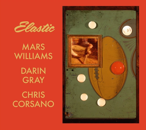 Elastic (Mars Archive #3) |