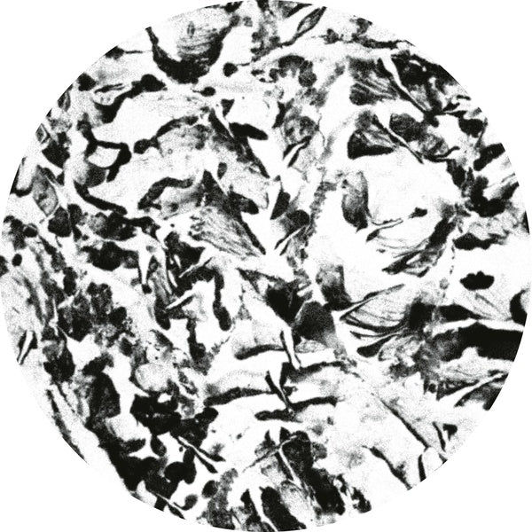 Anata EP |