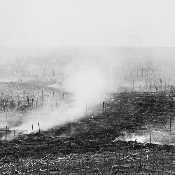 Empty, Expanding, Collapsing |