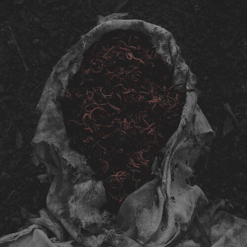 Gorrch - Stillamentum (VINYL) | Mint (M) Mint (M)