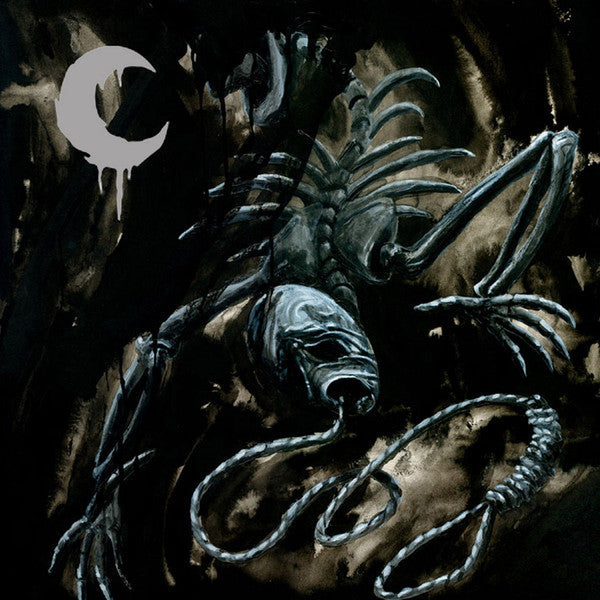 A Silhouette In Splinters (2xVINYL) | Mint (M) Mint (M)