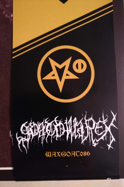 Satanic Warmaster - Carelian Satanist Madness (Instrumental Raw Mix) (vinyl) | Near Mint (NM) Near Mint (NM)