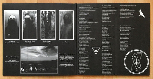 Drowning The Light - The Blood Of The Ancients (VINYL) | Near Mint (NM) Near Mint (NM)