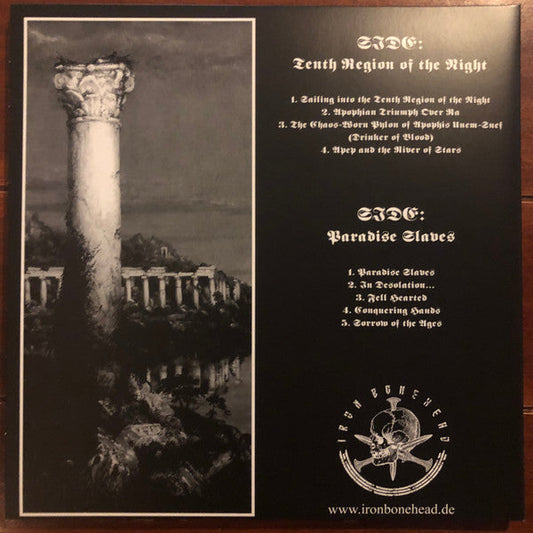 Drowning The Light - Tenth Region Of The Night & Paradise Slaves (VINYL) | Near Mint (NM or M-) Near Mint (NM)