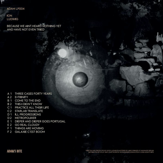 Ion Ludwig - (PRESALE TBD) Because We Aint Heard Nothing Yet And Have Not Even Tried (3xVINYL) | Mint (M) Mint (M)