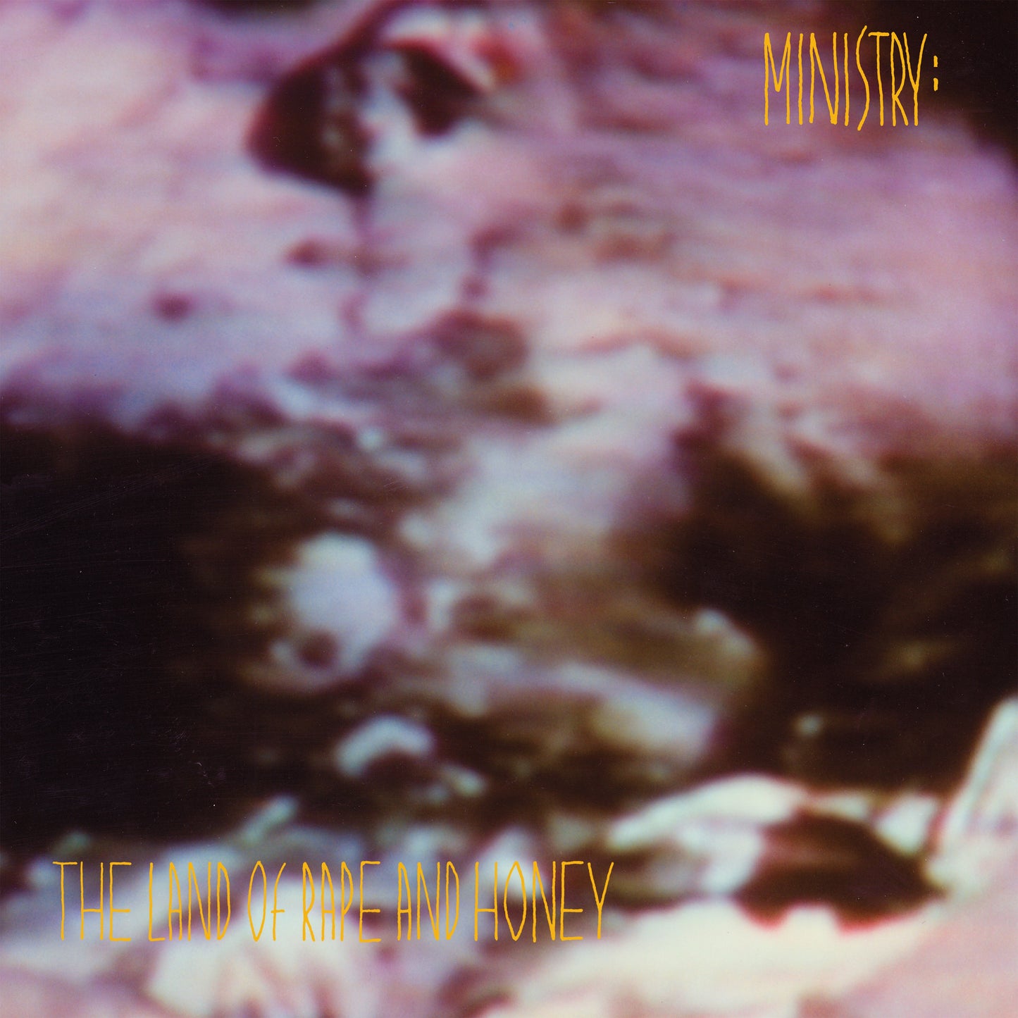 The Land Of Rape And Honey (Deluxe Edition, Brick & Mortar Exclusive) (2 Lp) | Mint (M) Mint (M)