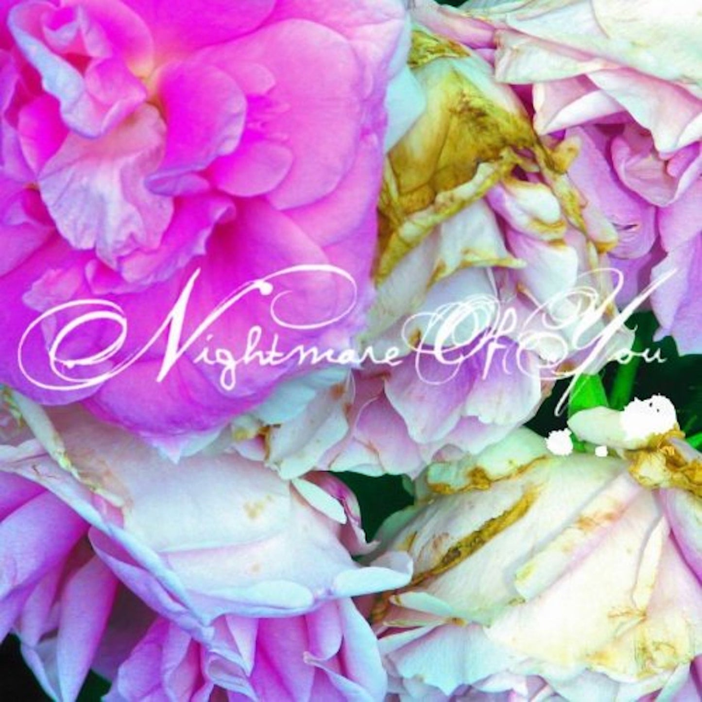 Nightmare Of You - Nightmare Of You |