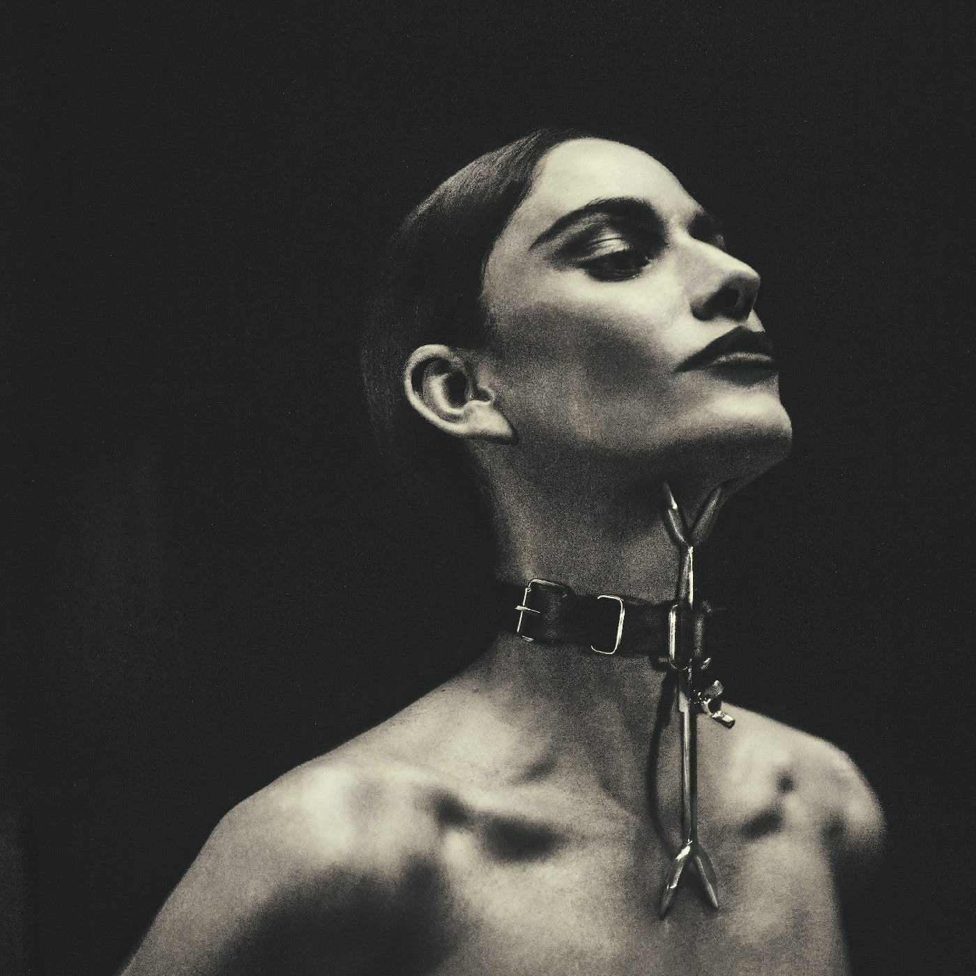 V (CD) | Mint (M) Mint (M)