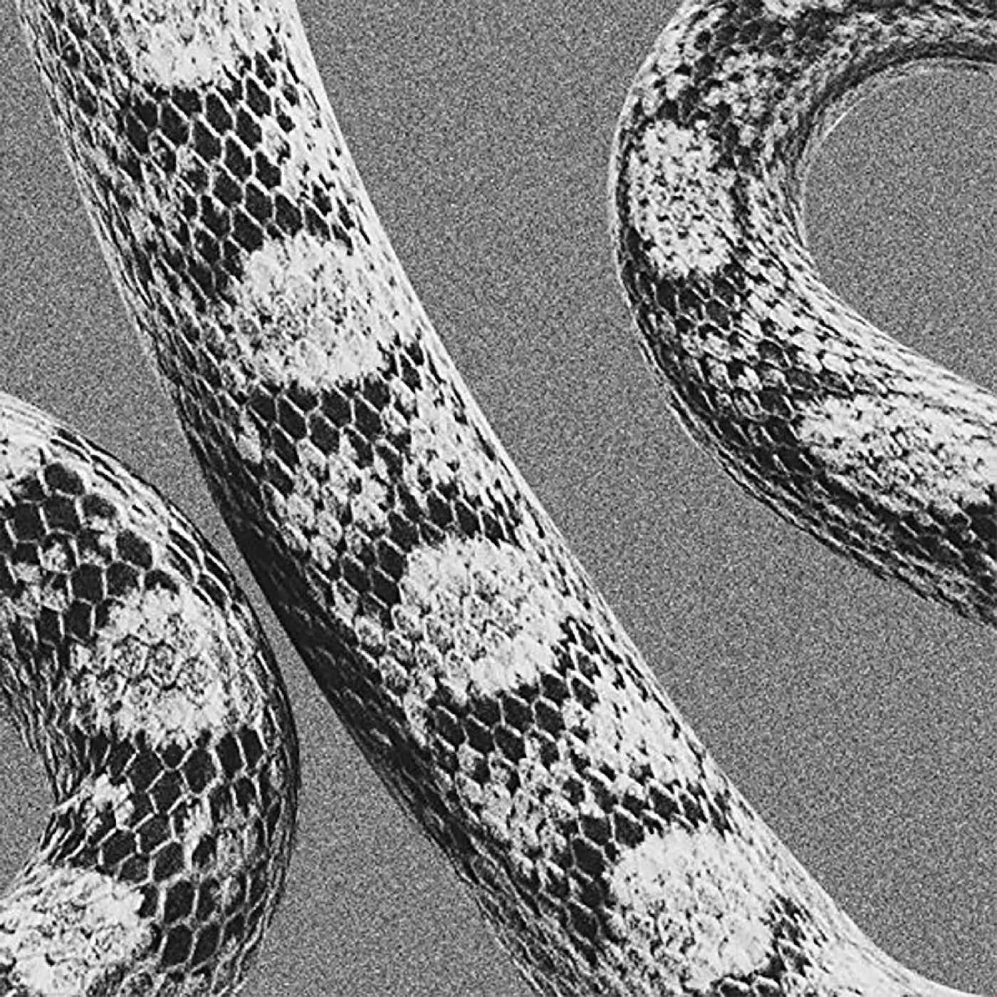 God Don'T Talk To Strangers/Lady Of The Ocean (7" VINYL) | Mint (M) Mint (M)