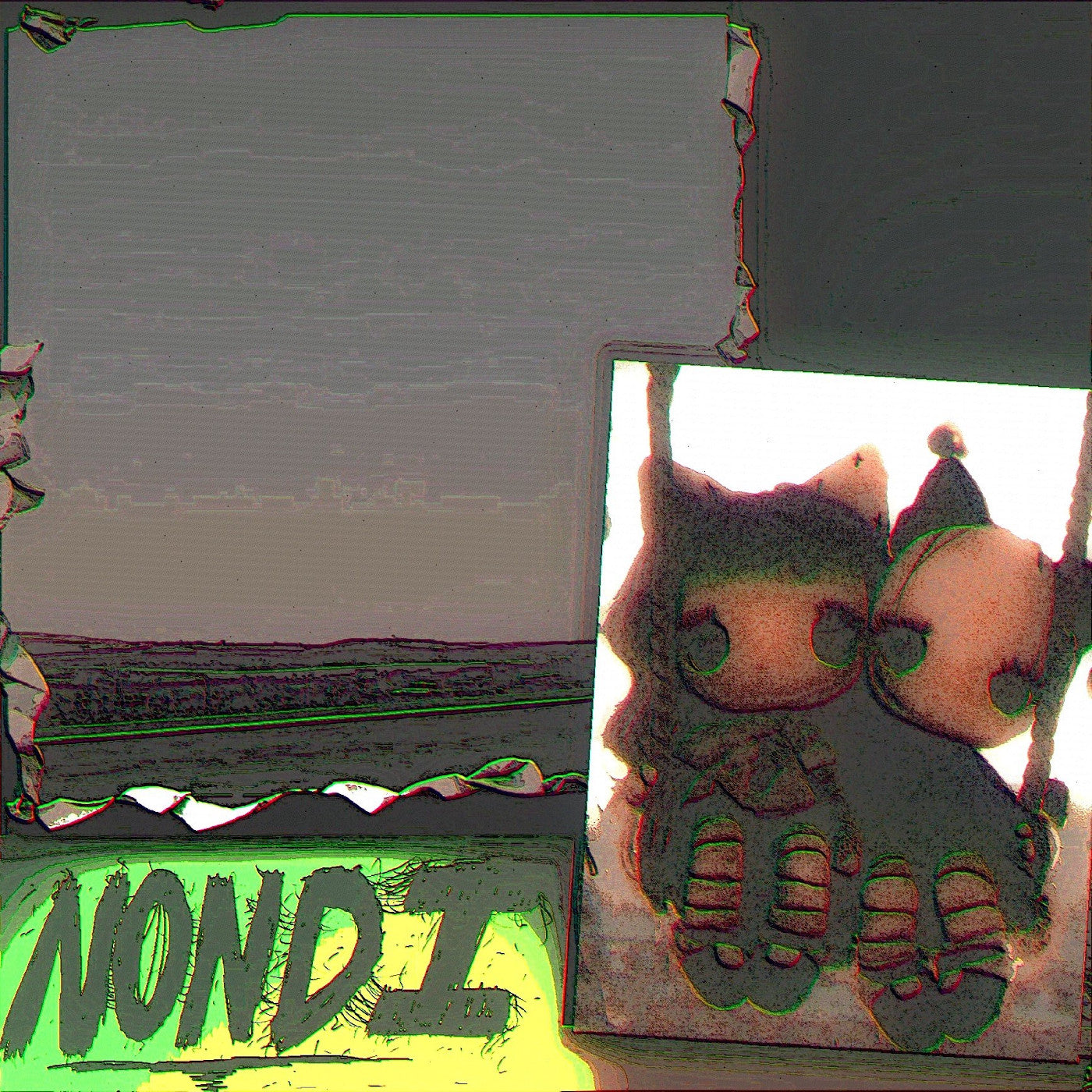 Nondi_ - (PRESALE 7/31/26) Bonus Nondi... (SLIP WALLET CD) |