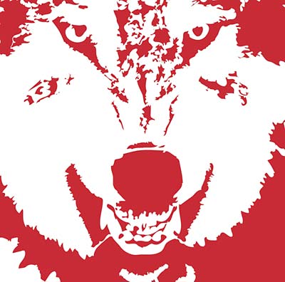 The Nethack Dictionary |