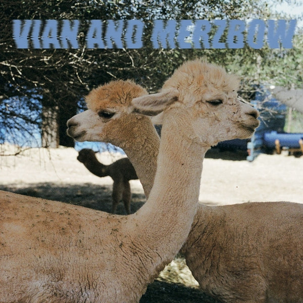 Inside Richard Serra Sculptures |