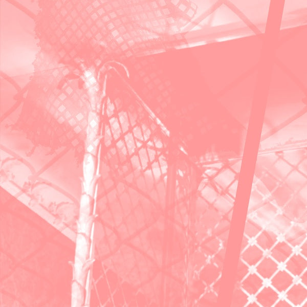 All Intensive Purposes |