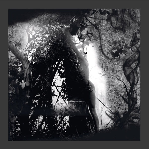 Tears Of A Rough Machine |