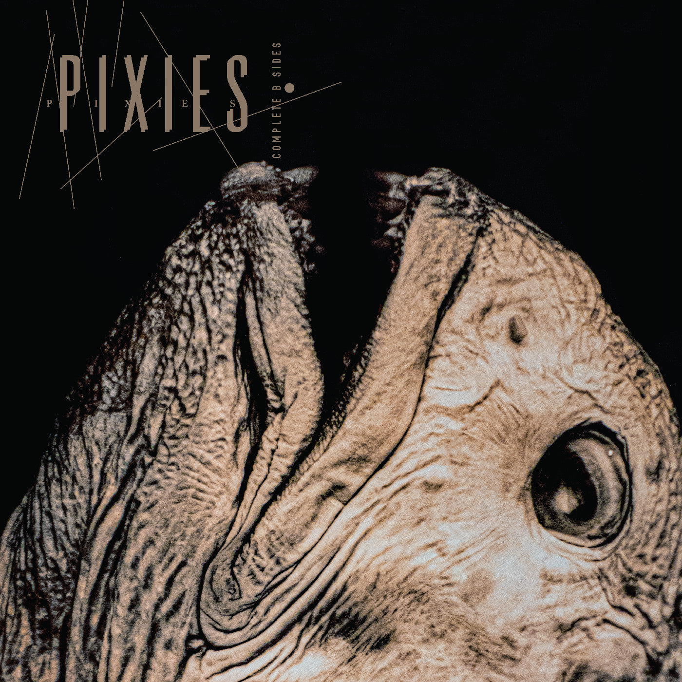 Pixies - (PRESALE 6/26/26) Complete B Sides: 1988-97 (2xCD) | Mint (M) Mint (M)